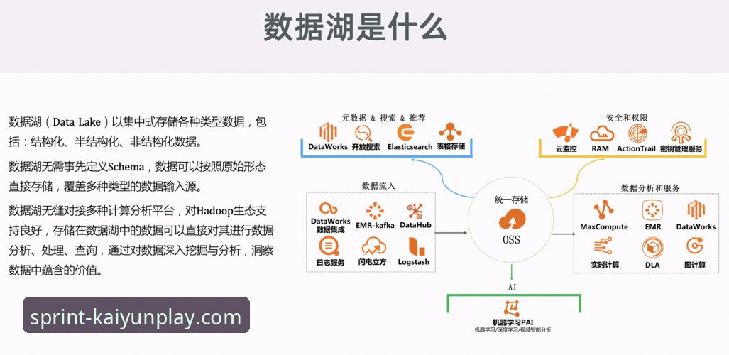 开云竞猜平台深度分析：最新版本v2.1.0如何重塑在线投注体验